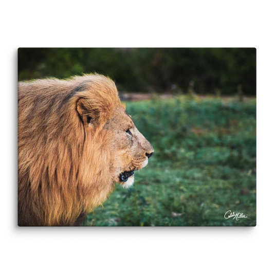 The King - Canvas