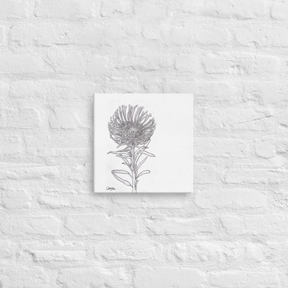 Pin Cushion Protea - Canvas