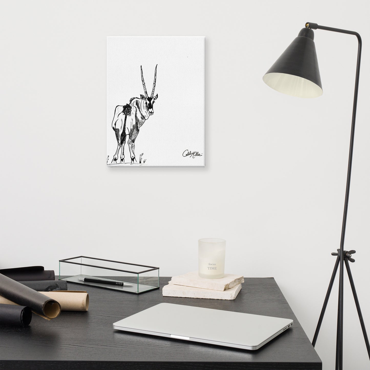 Gemsbok Gaze - Canvas