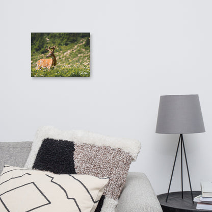 Antlered Royalty - Canvas