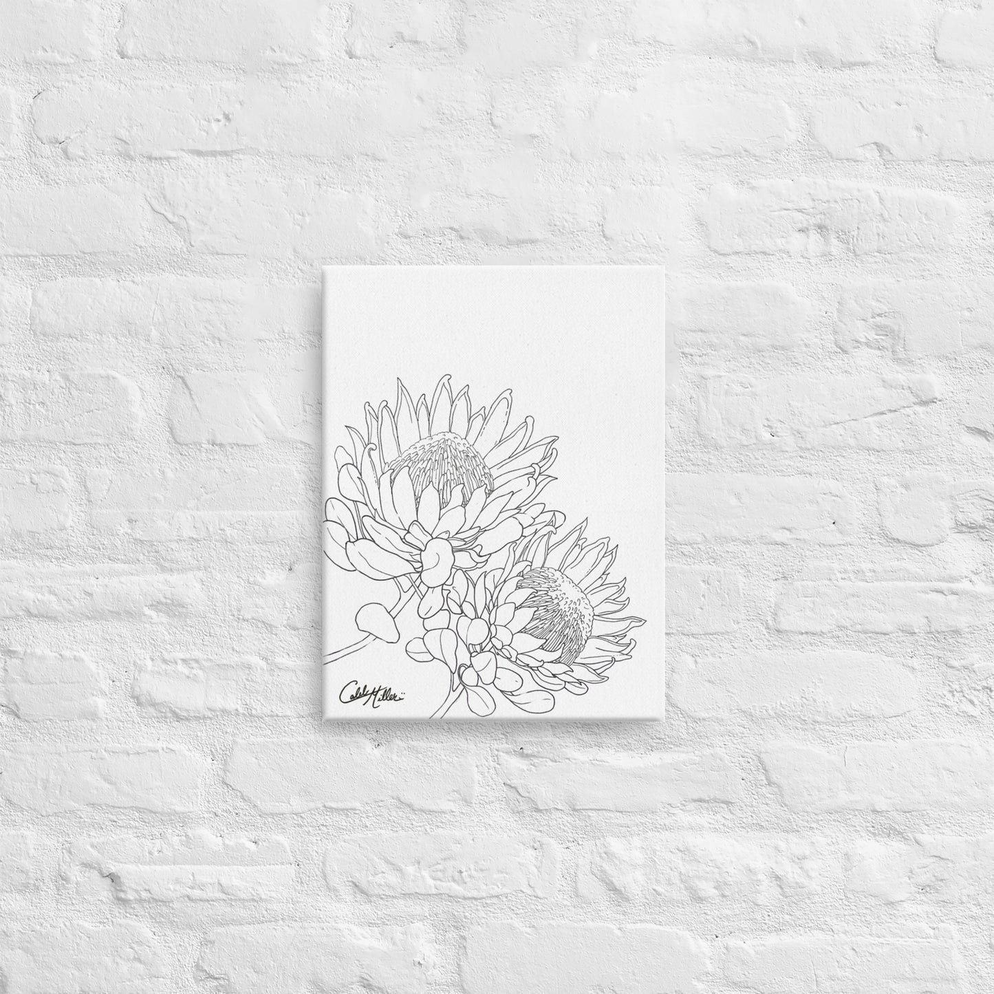 King Protea - Canvas