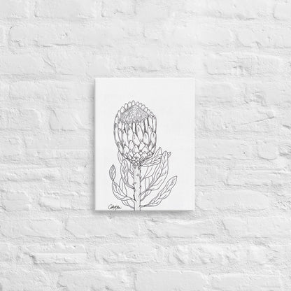 Queen Protea - Canvas