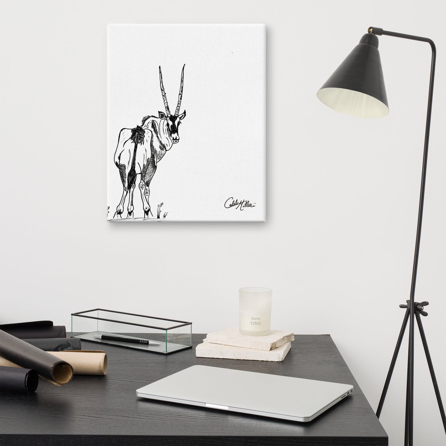 Gemsbok Gaze - Canvas