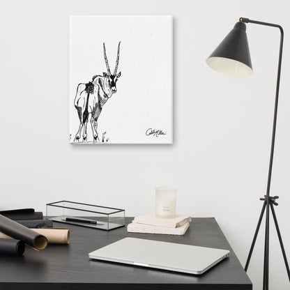 Gemsbok Gaze - Canvas