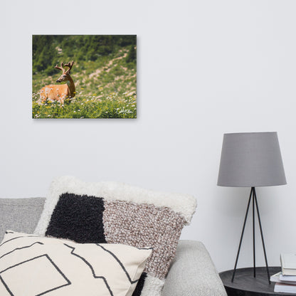 Antlered Royalty - Canvas