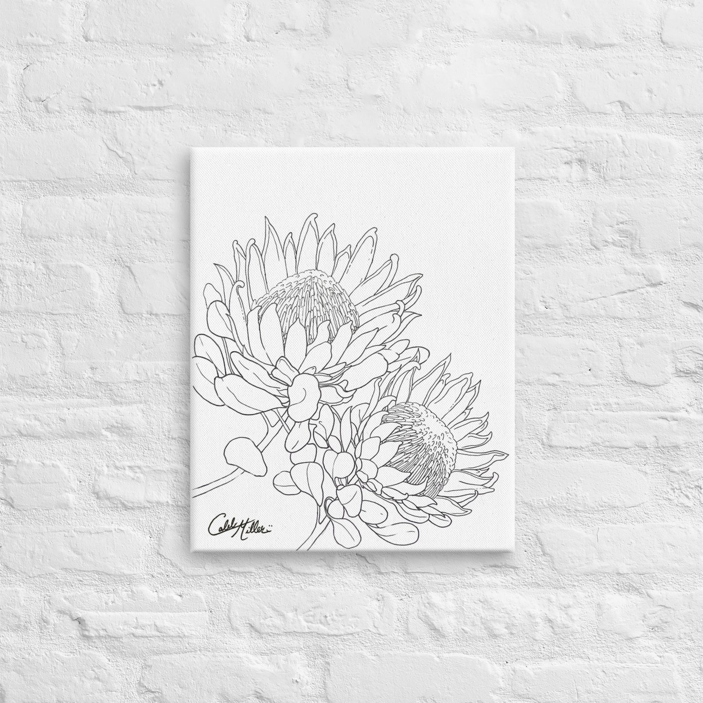 King Protea - Canvas