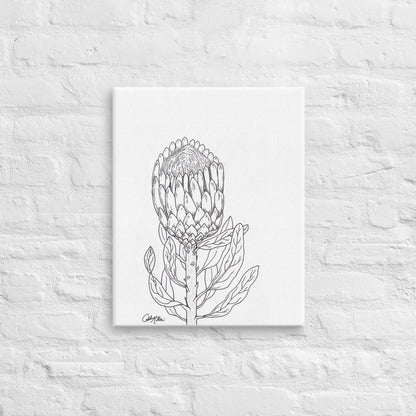 Queen Protea - Canvas