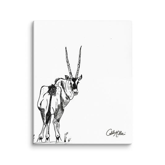 Gemsbok Gaze - Canvas