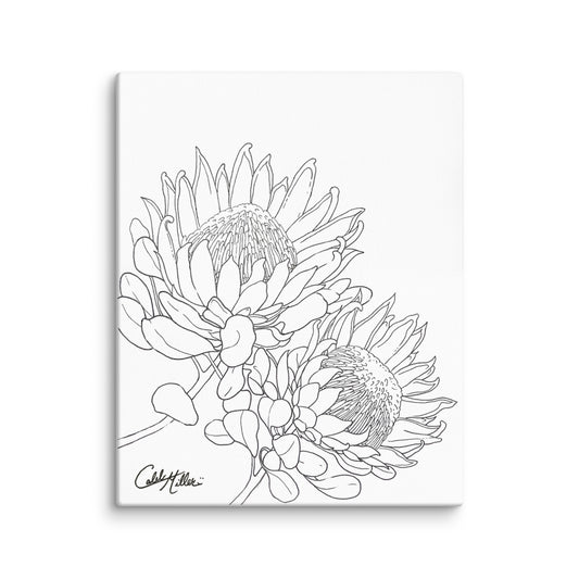 King Protea - Canvas