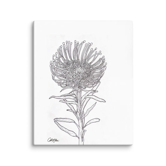 Pin Cushion Protea - Canvas