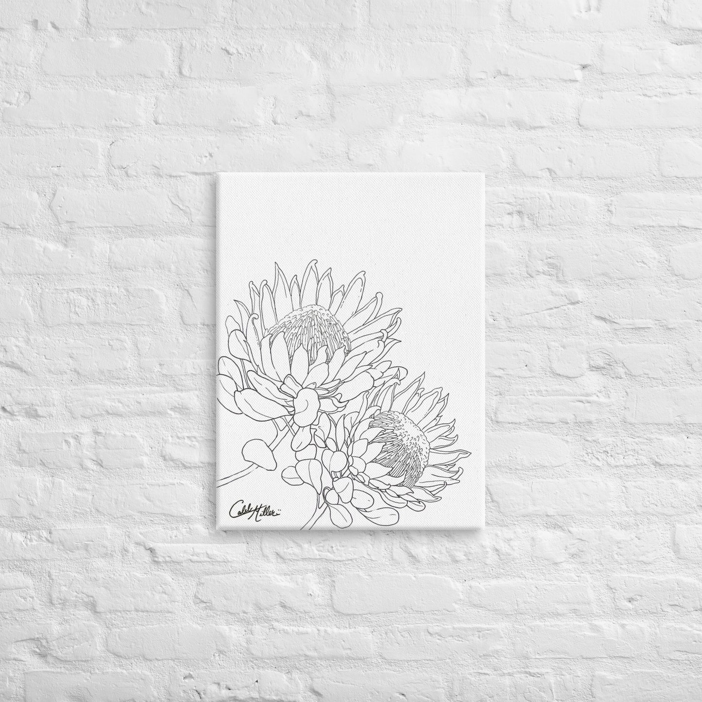 King Protea - Canvas