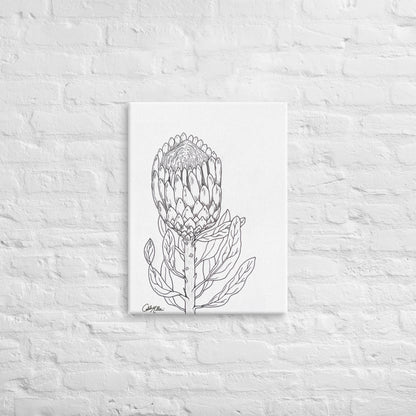 Queen Protea - Canvas