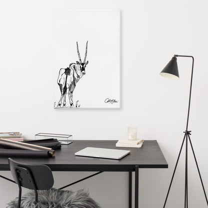 Gemsbok Gaze - Canvas