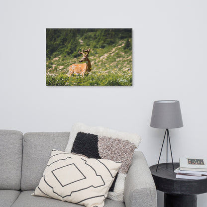 Antlered Royalty - Canvas