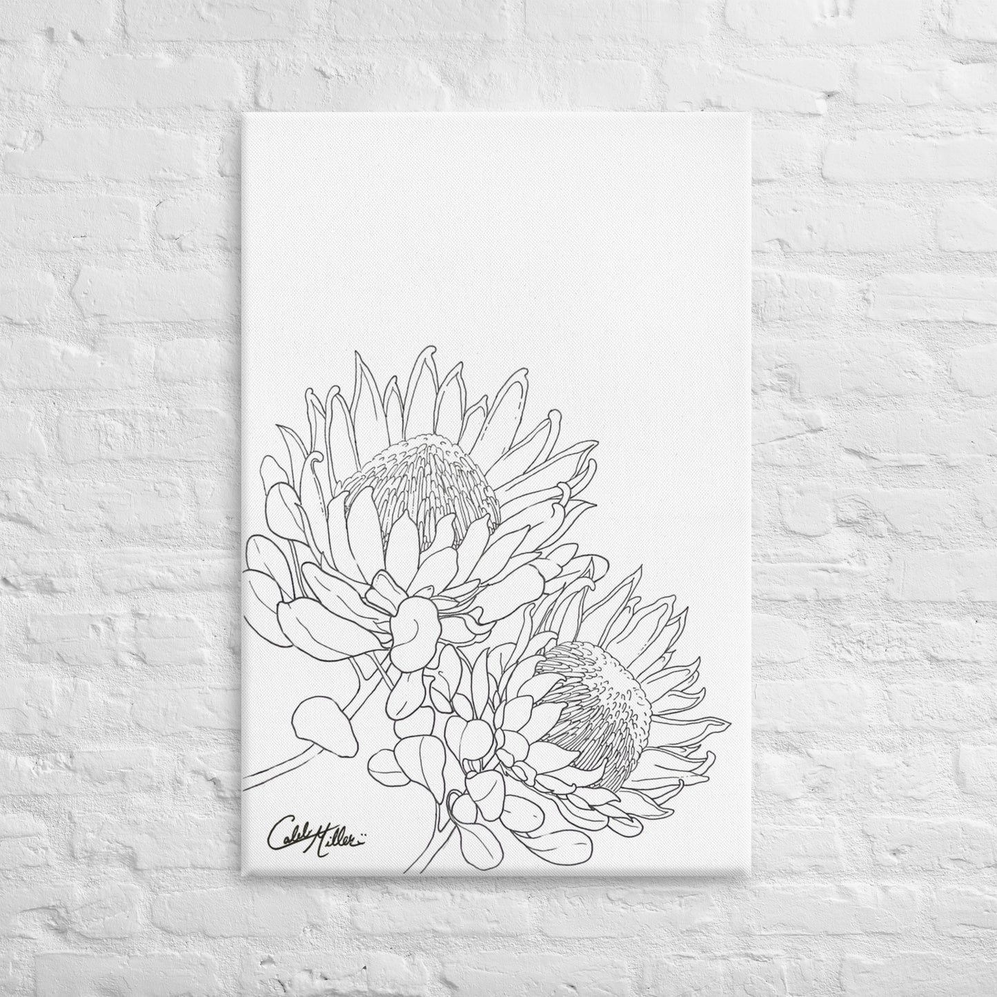 King Protea - Canvas