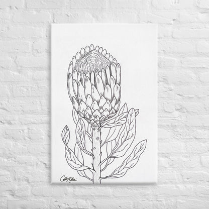 Queen Protea - Canvas