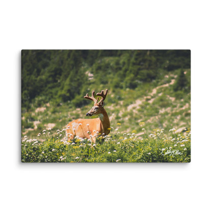 Antlered Royalty - Canvas