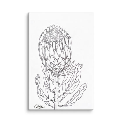 Queen Protea - Canvas