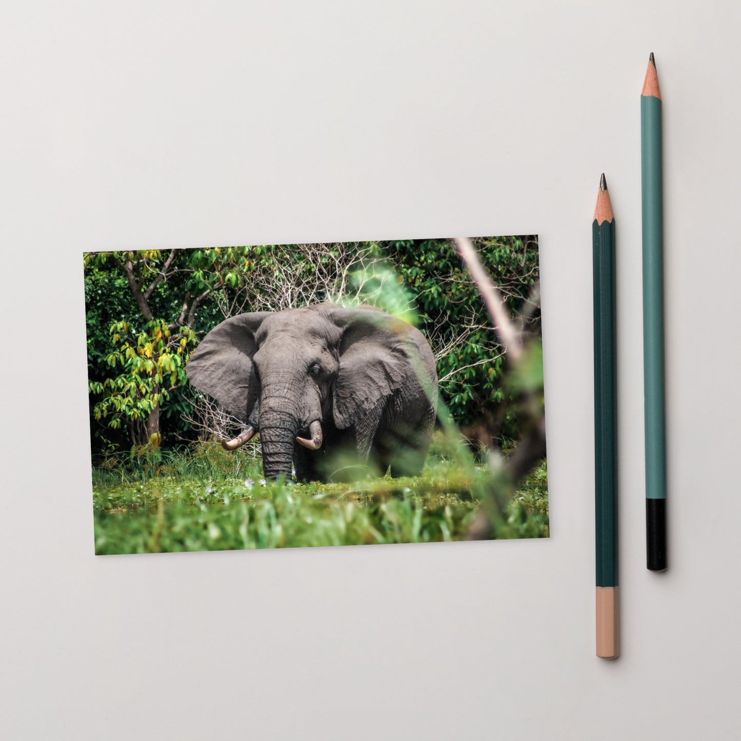 Postcard - Mystical Elephant