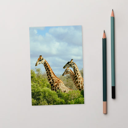 Postcard - Tower of Giraffes