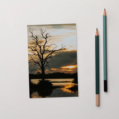 Postcard - Silhouette By the River