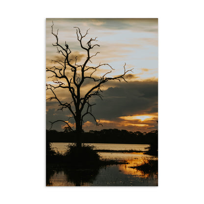 Postcard - Silhouette By the River