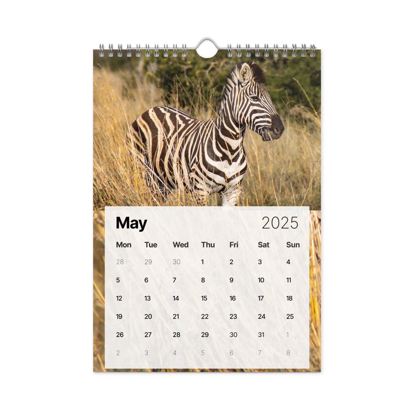 Wall Calendar (2025) - Safari Edition