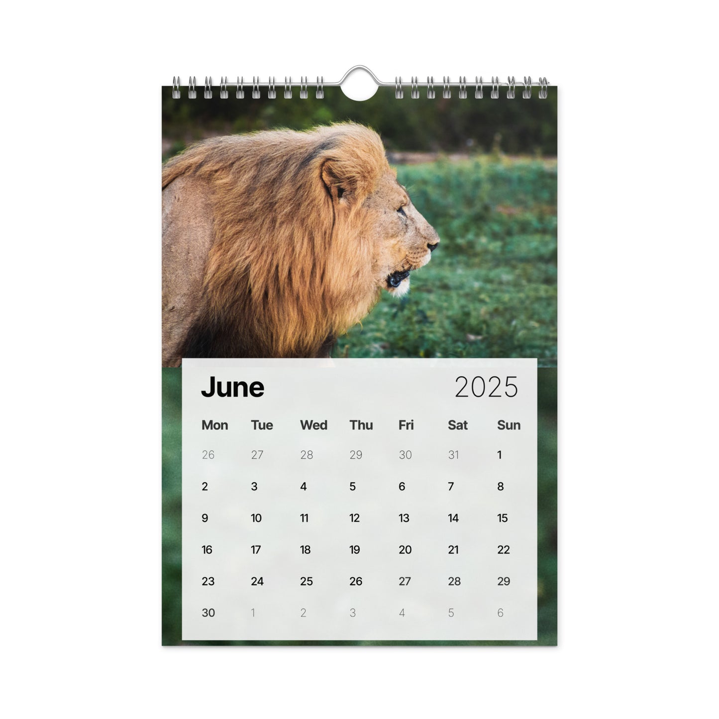 Wall Calendar (2025) - Safari Edition