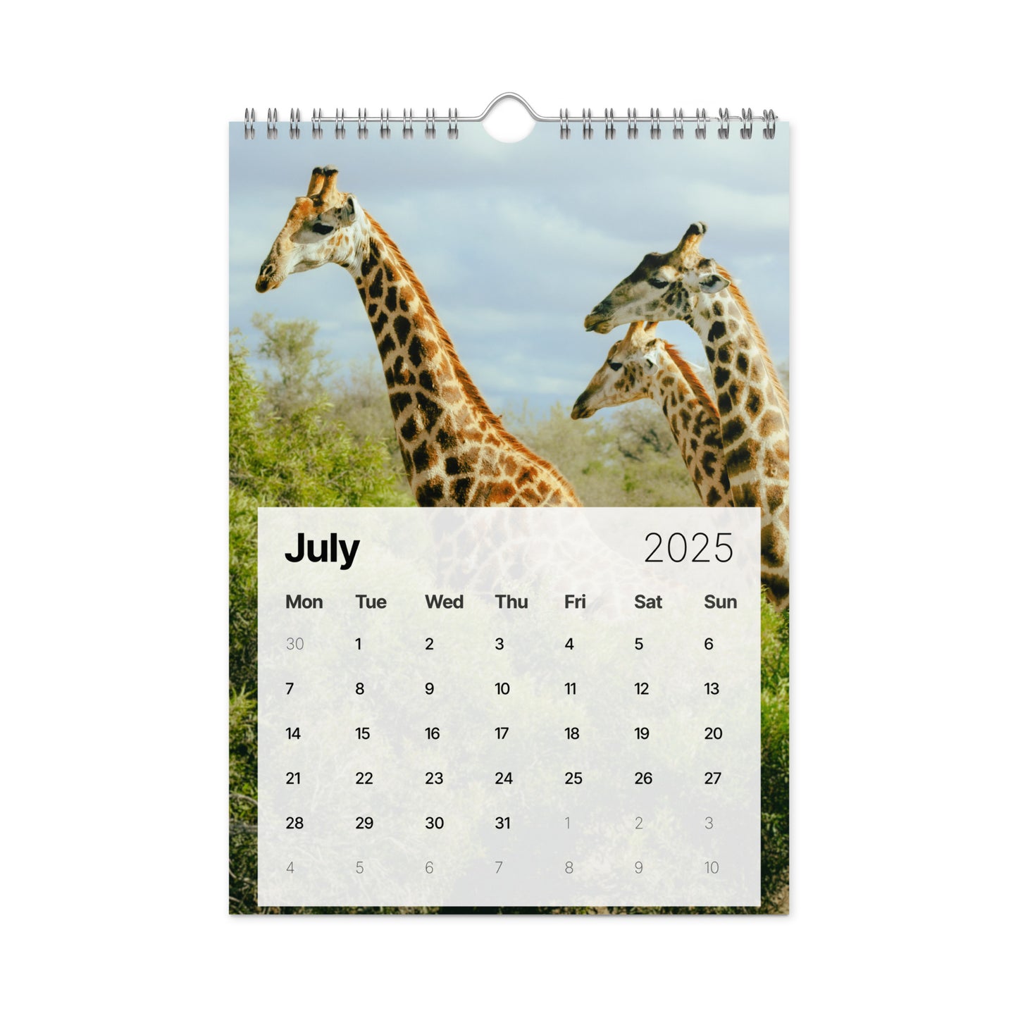 Wall Calendar (2025) - Safari Edition