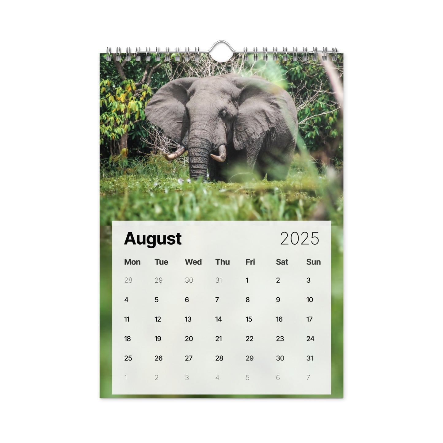 Wall Calendar (2025) - Safari Edition