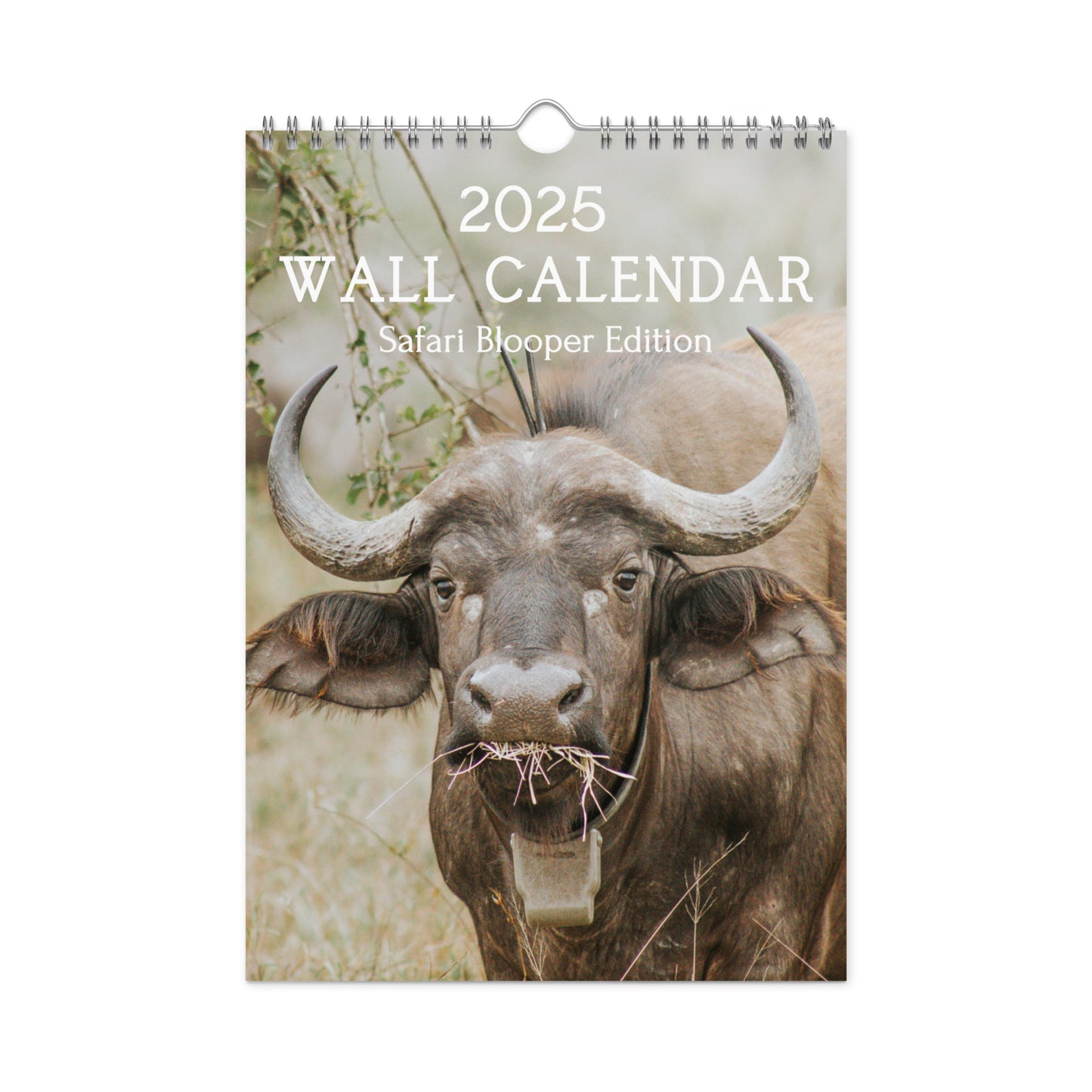 Wall calendar (2025) - Safari Blooper Edition