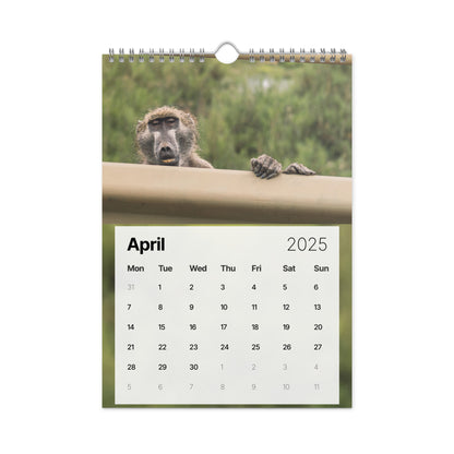 Wall calendar (2025) - Safari Blooper Edition