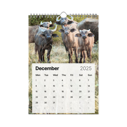 Wall calendar (2025) - Safari Blooper Edition